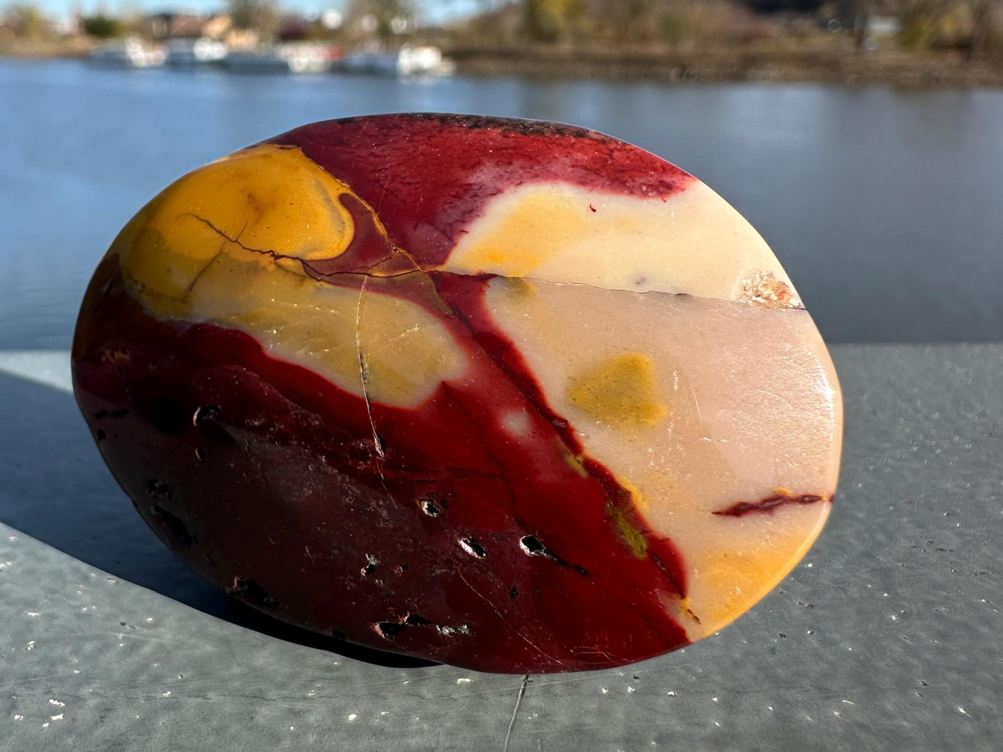 Gorgeous Natural Mookaite Jasper with Dendritic Agate Palm Stone