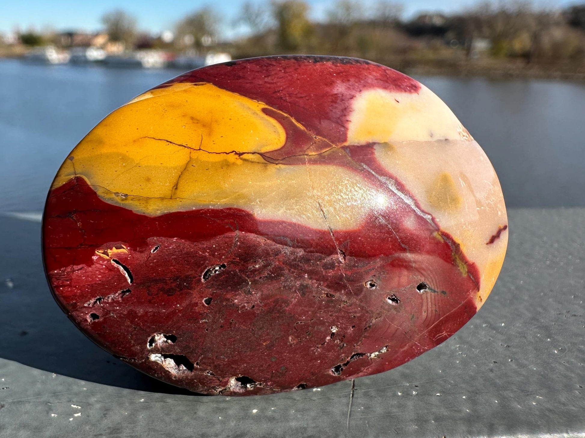 Gorgeous Natural Mookaite Jasper with Dendritic Agate Palm Stone