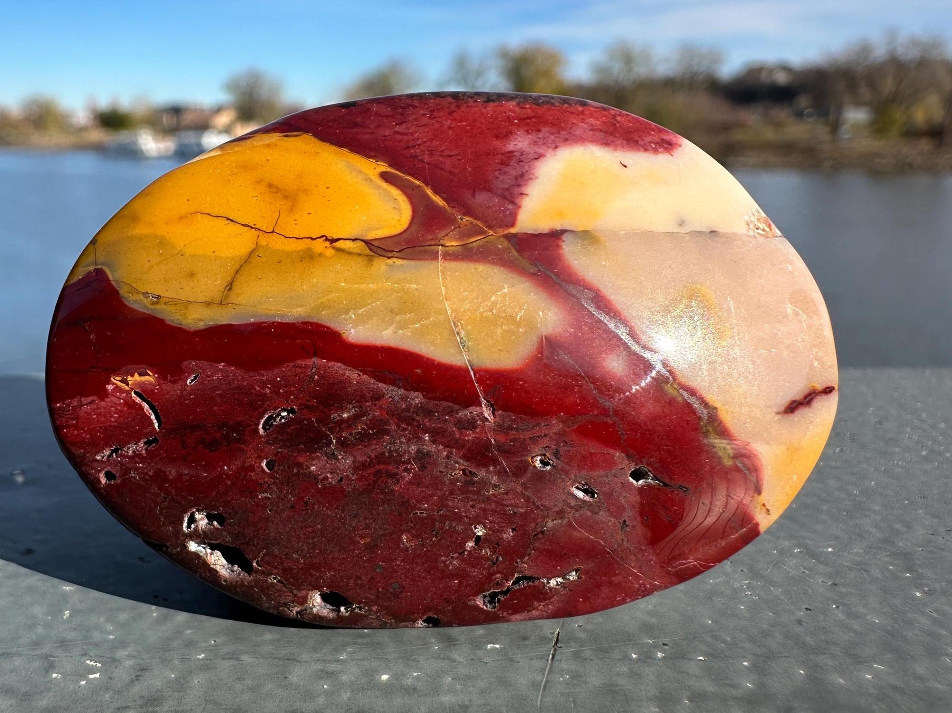 Gorgeous Natural Mookaite Jasper with Dendritic Agate Palm Stone