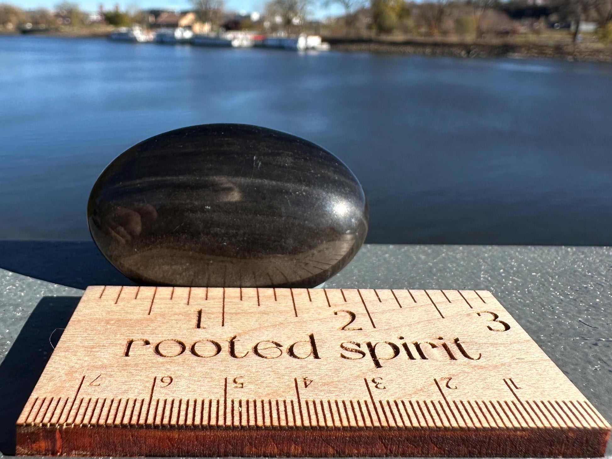 Silver Sheen Obsidian Palm Stone from Mexico