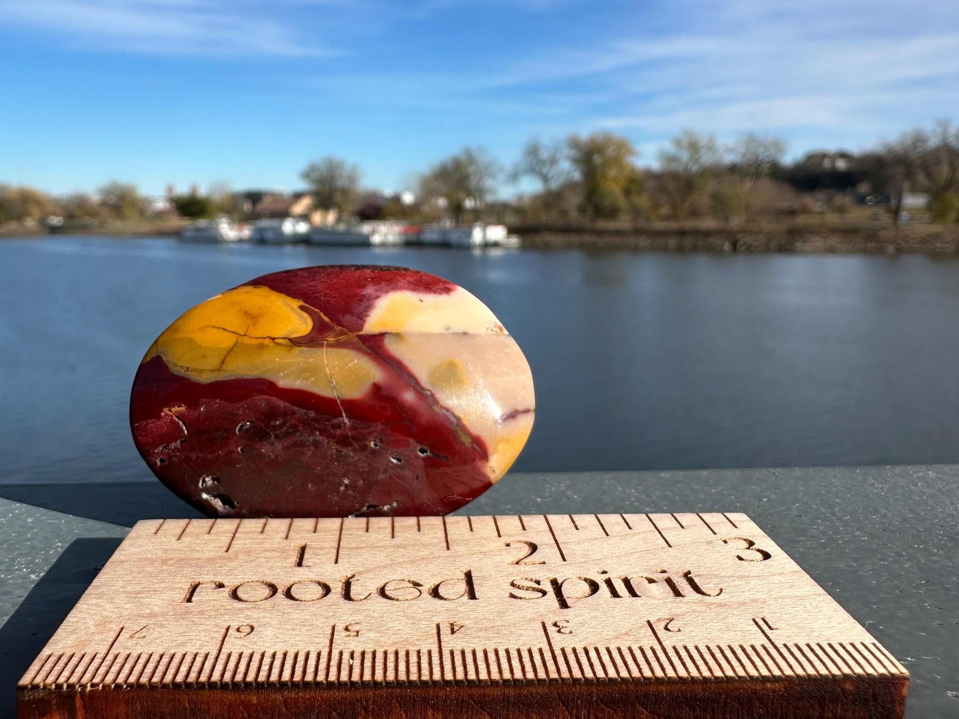 Gorgeous Natural Mookaite Jasper with Dendritic Agate Palm Stone