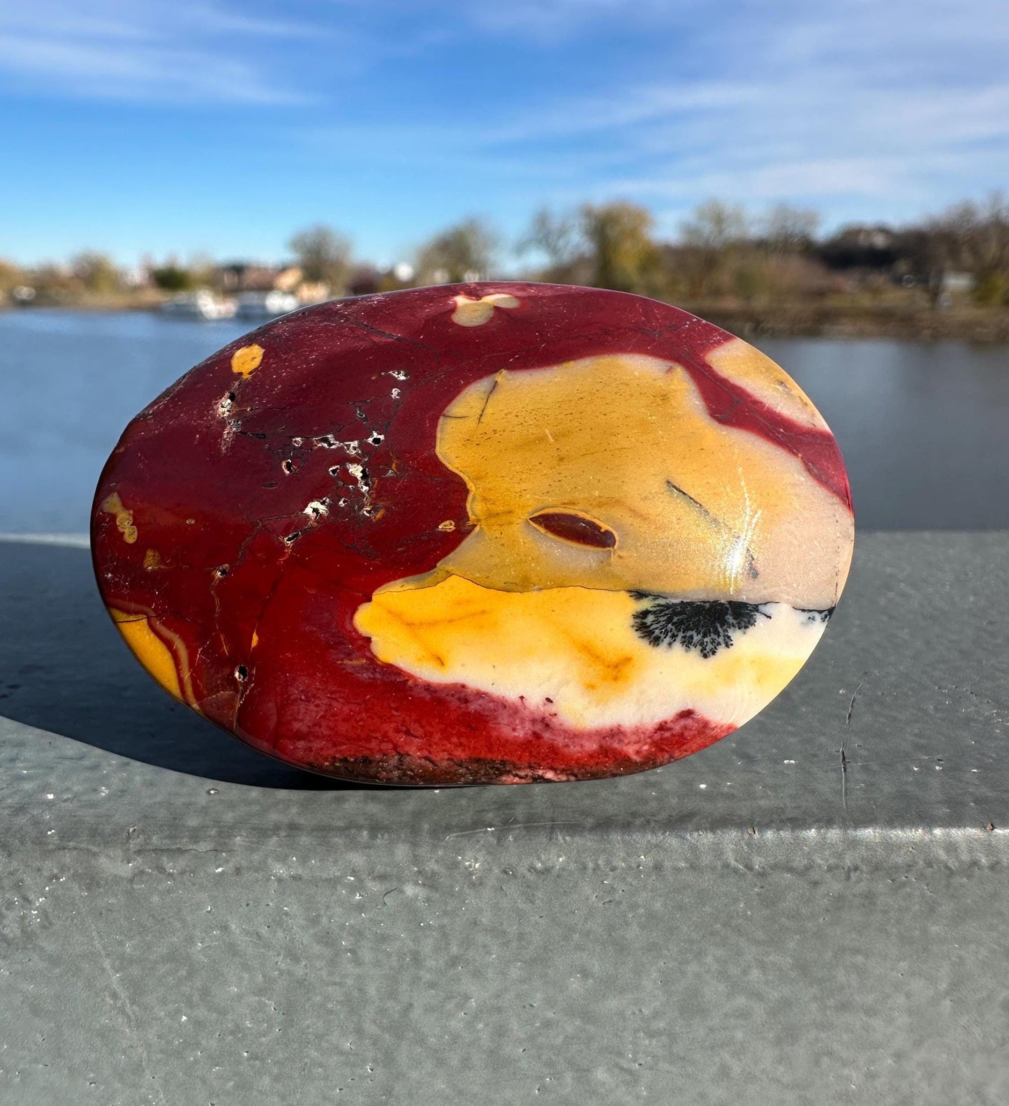 Gorgeous Natural Mookaite Jasper with Dendritic Agate Palm Stone