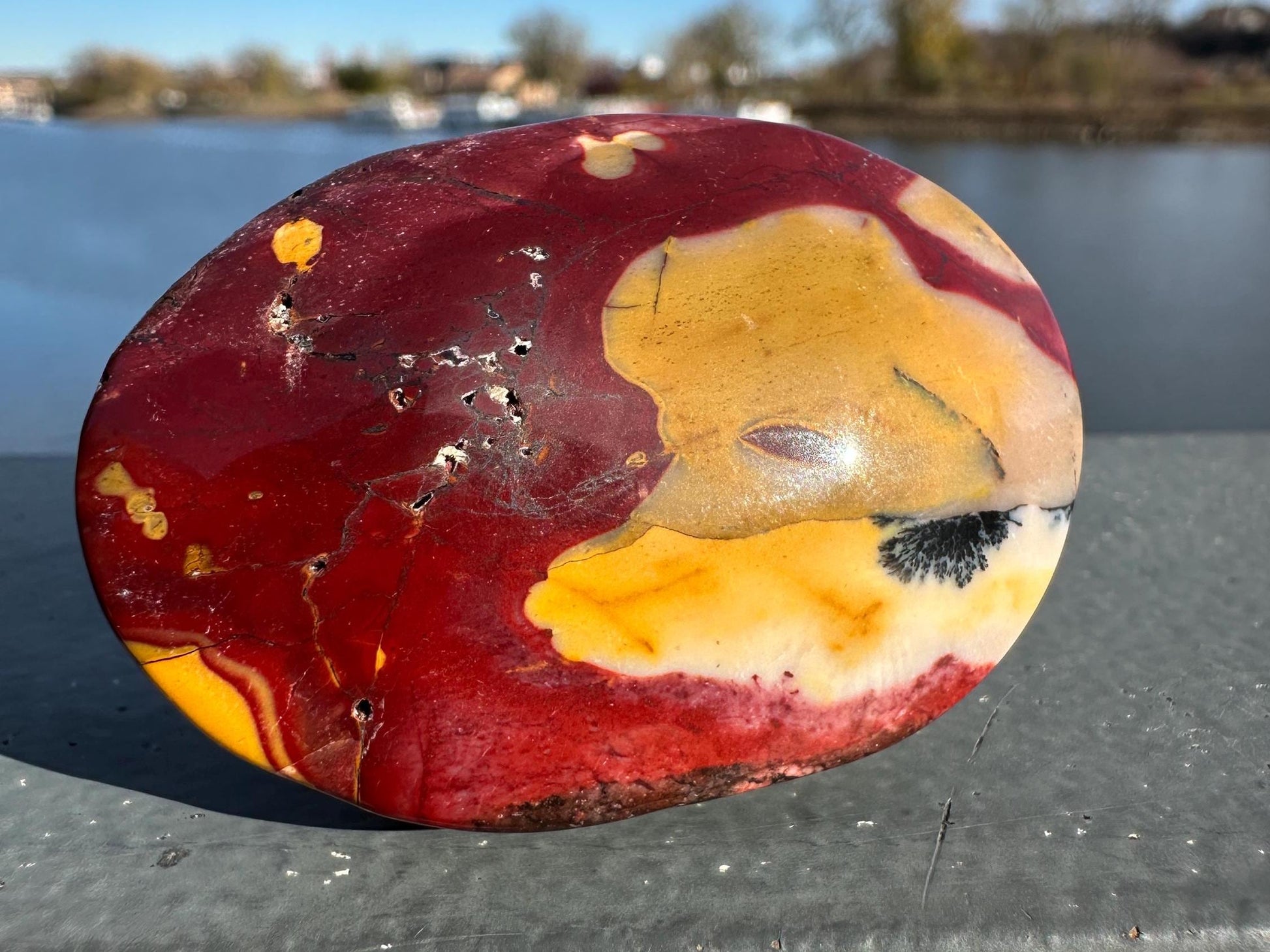 Gorgeous Natural Mookaite Jasper with Dendritic Agate Palm Stone