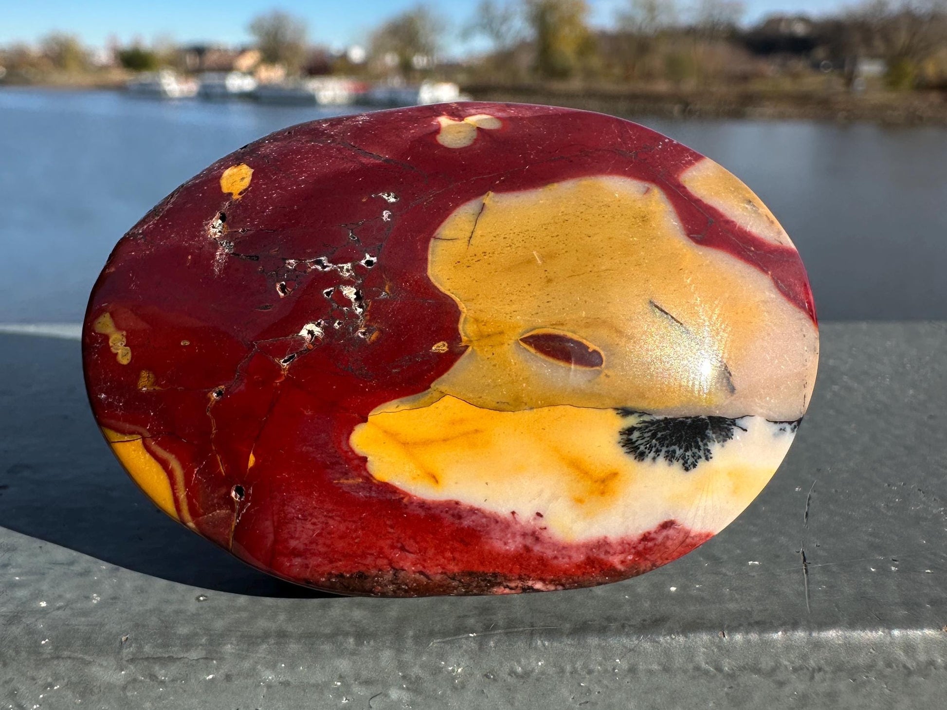 Gorgeous Natural Mookaite Jasper with Dendritic Agate Palm Stone