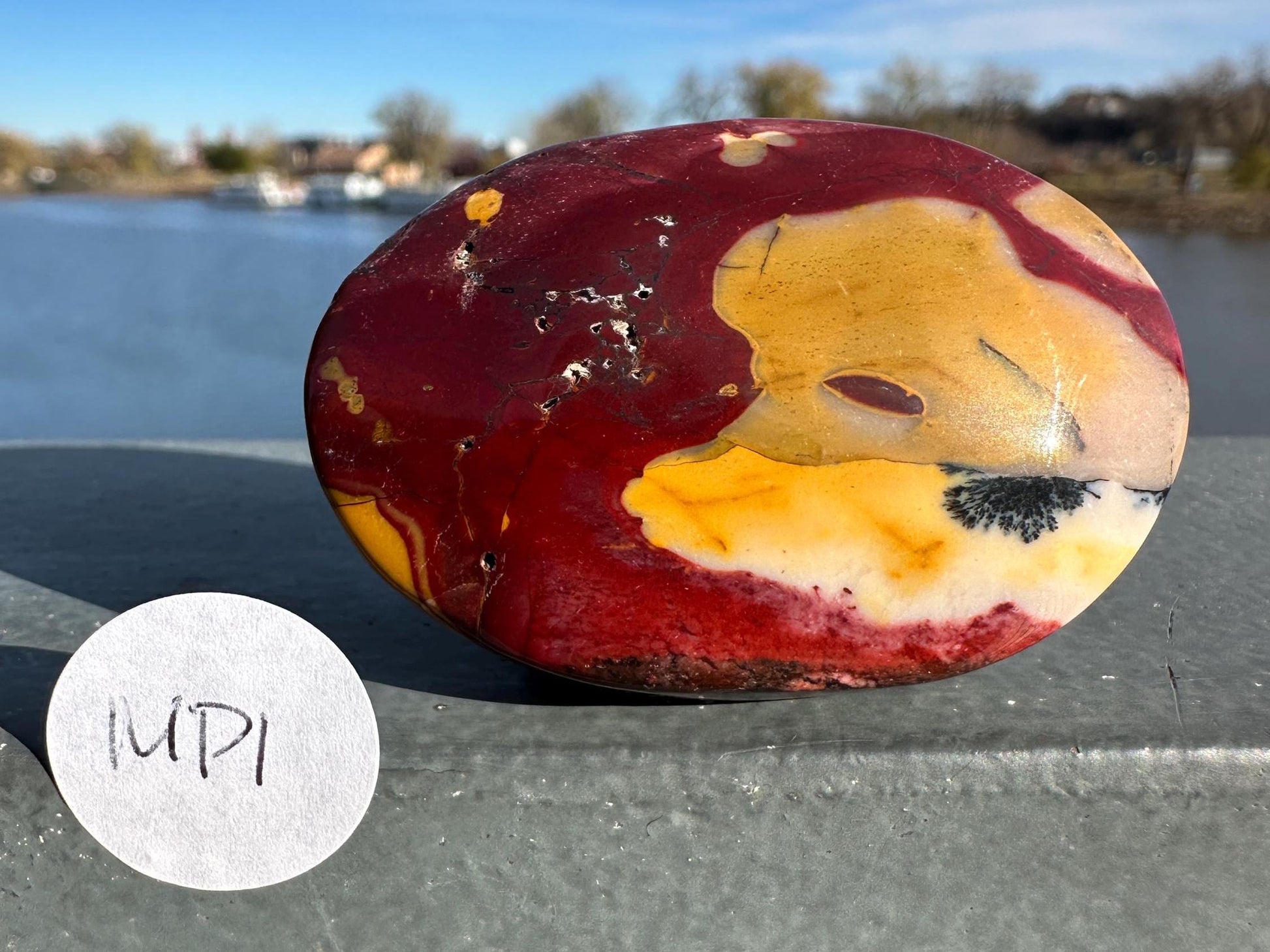 Gorgeous Natural Mookaite Jasper with Dendritic Agate Palm Stone