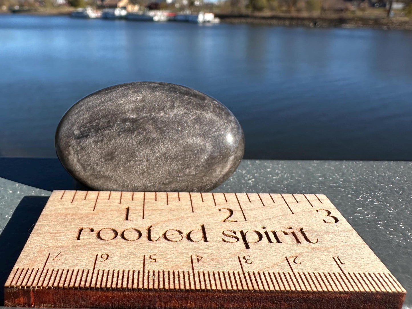 Silver Sheen Obsidian Palm Stone from Mexico