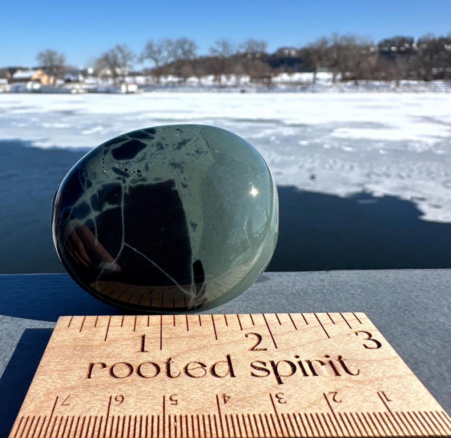 Spider Web Obsidian Palm Stone from Mexico
