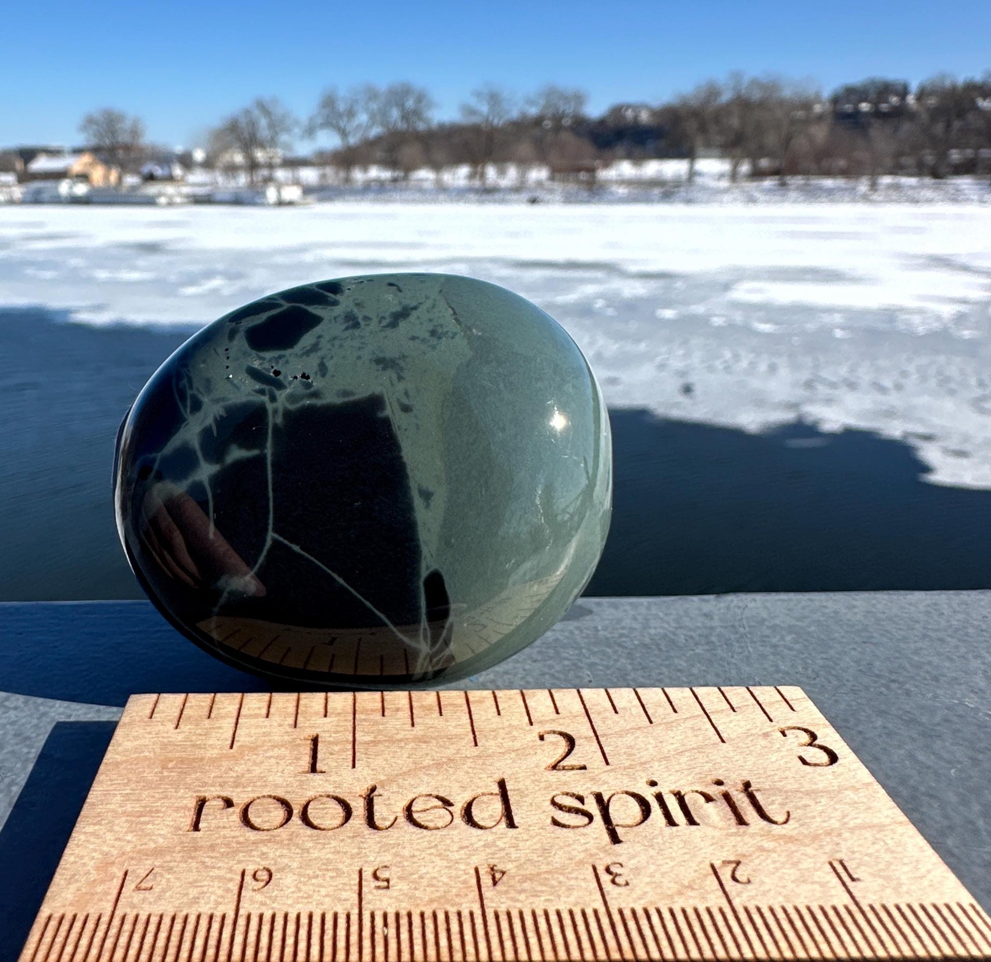 Spider Web Obsidian Palm Stone from Mexico