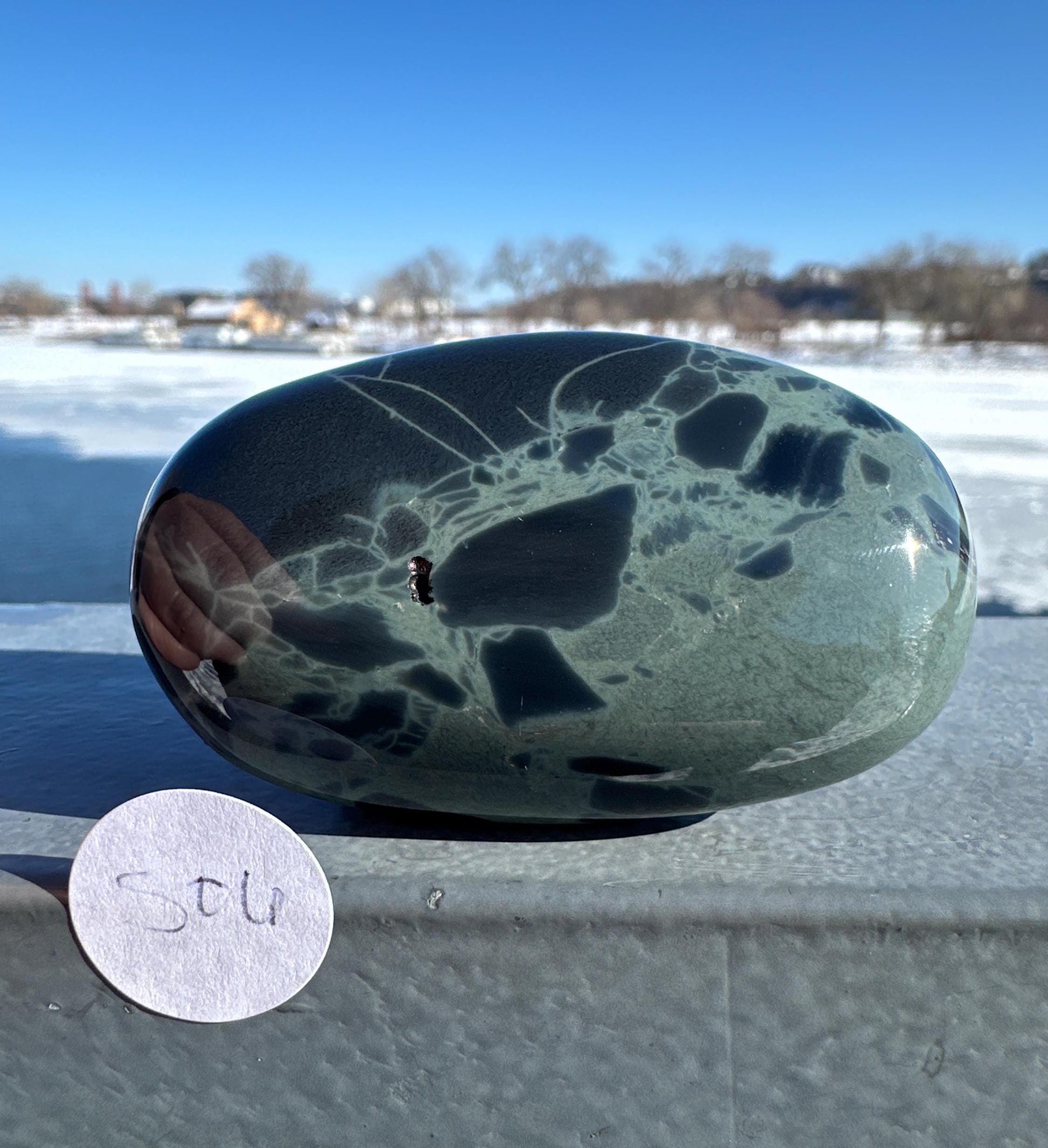 Spider Web Obsidian Palm Stone from Mexico