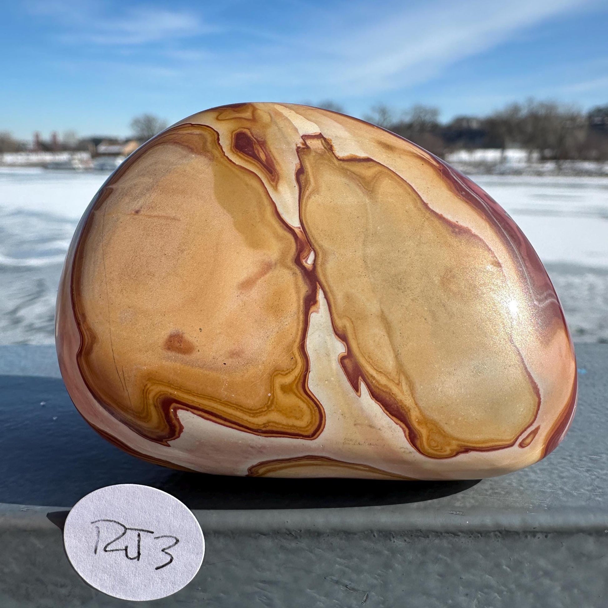 Gorgeous Natural Rainbow Jasper Freeform