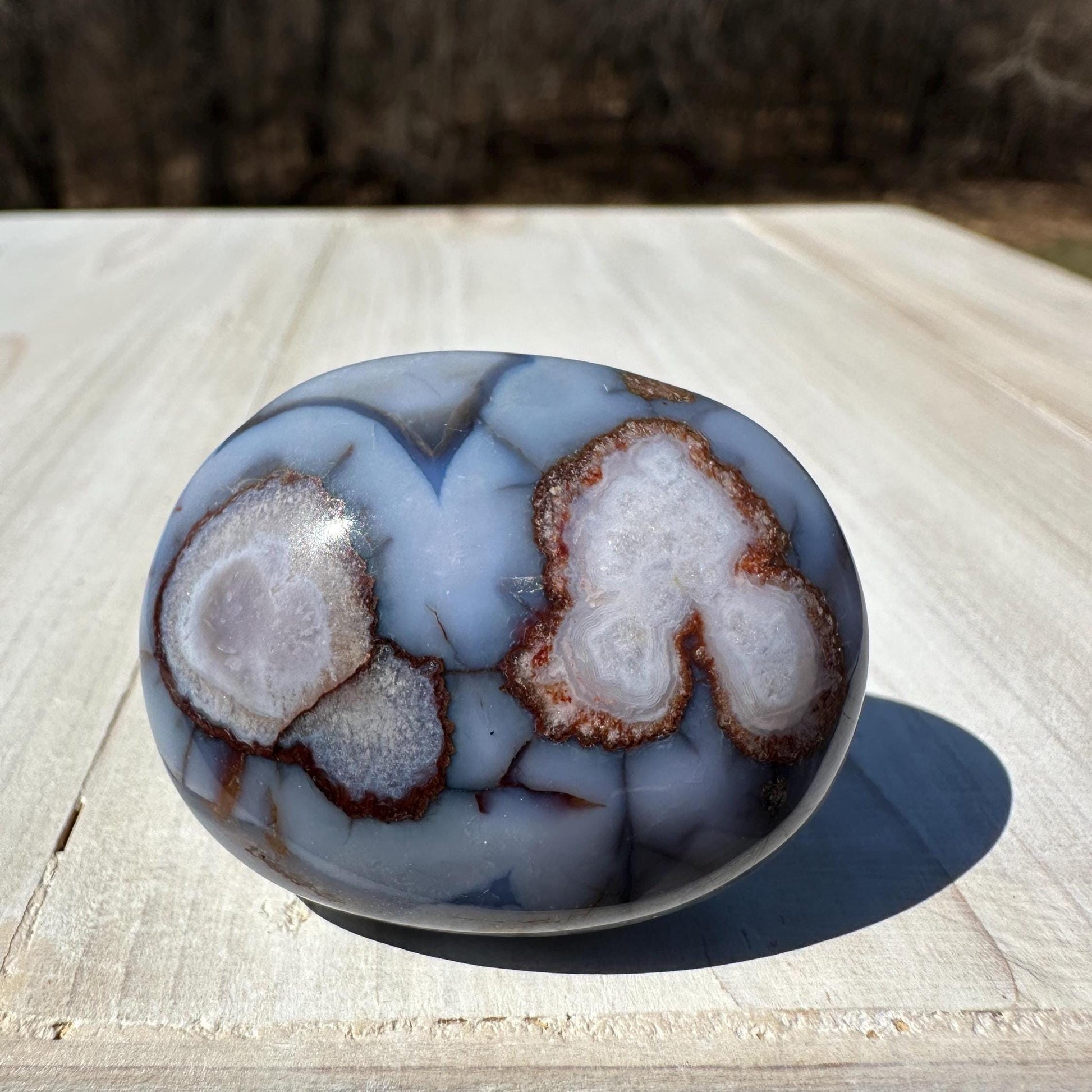 Gorgeous Blue Flower Agate Palm Stone