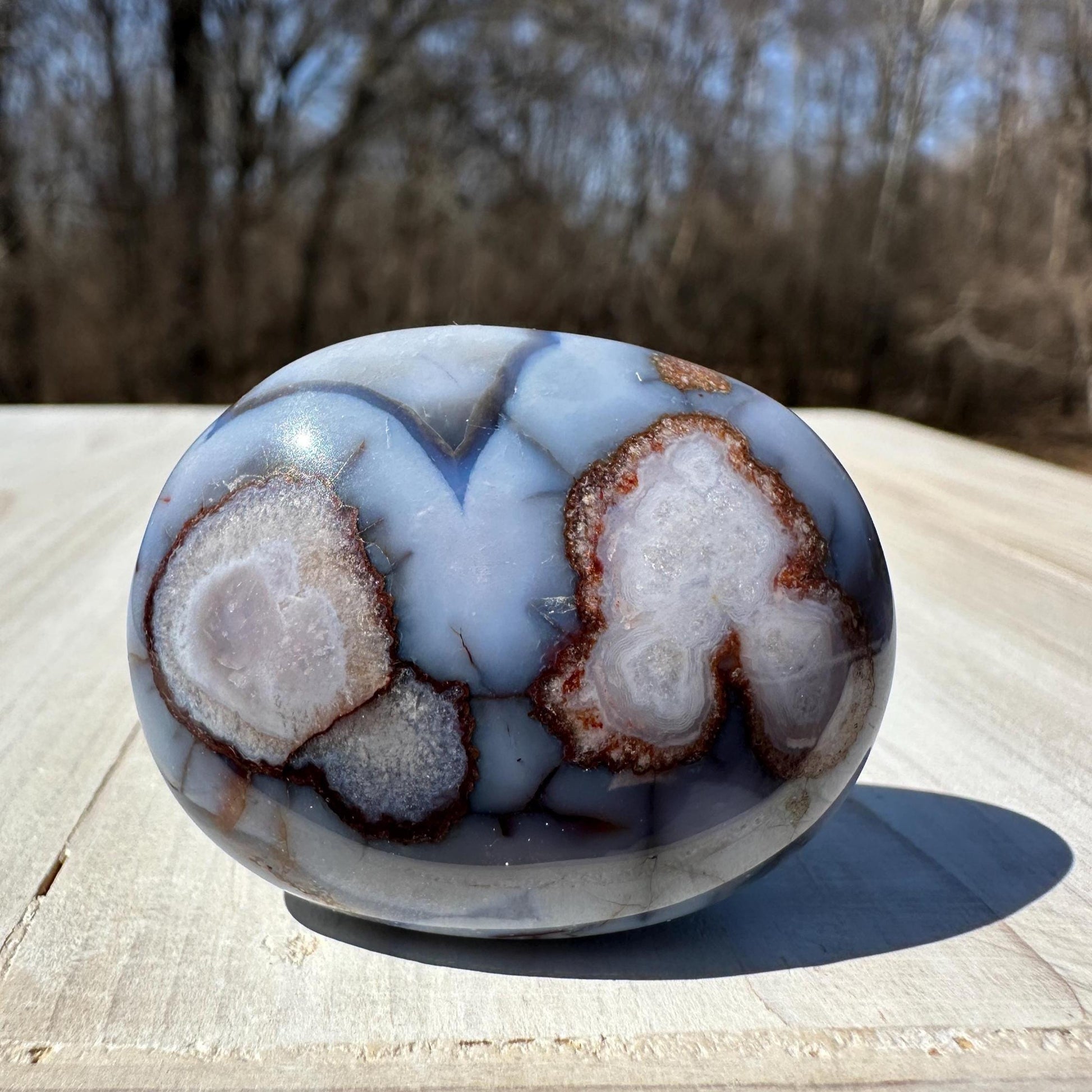 Gorgeous Blue Flower Agate Palm Stone