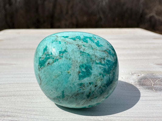 Beautiful Turquoise Palm Stones from Peru
