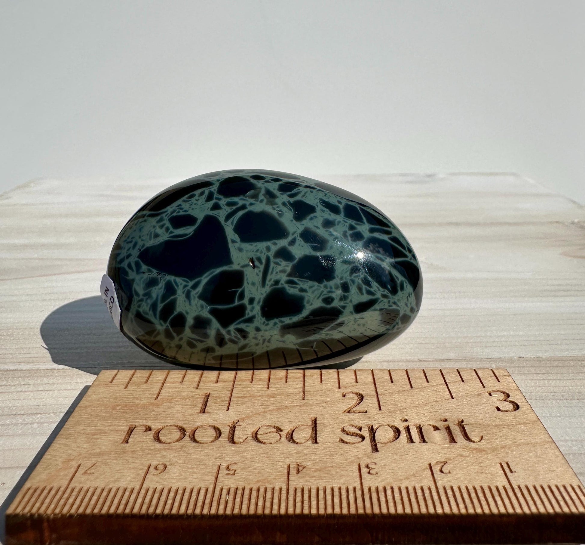 Spider Web Obsidian Palm Stone from Mexico