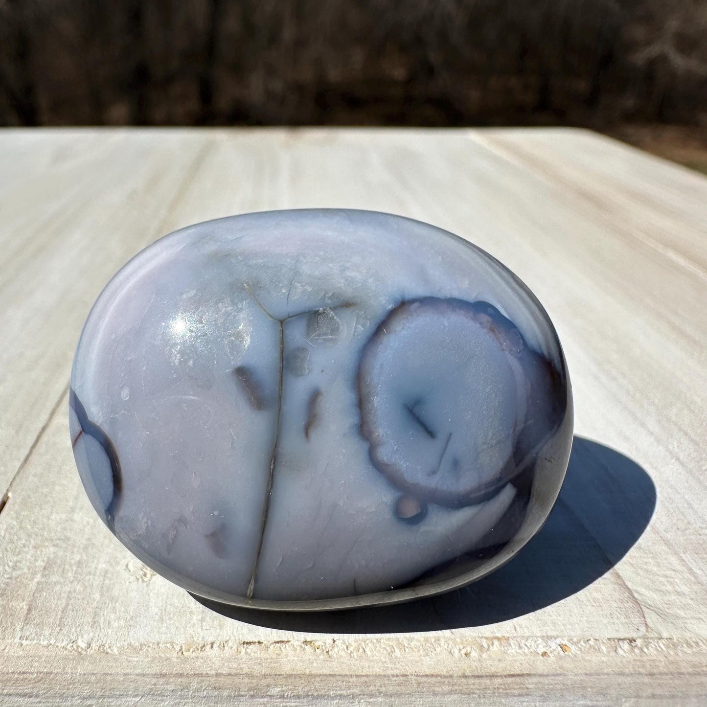 Gorgeous Blue Flower Agate Palm Stone