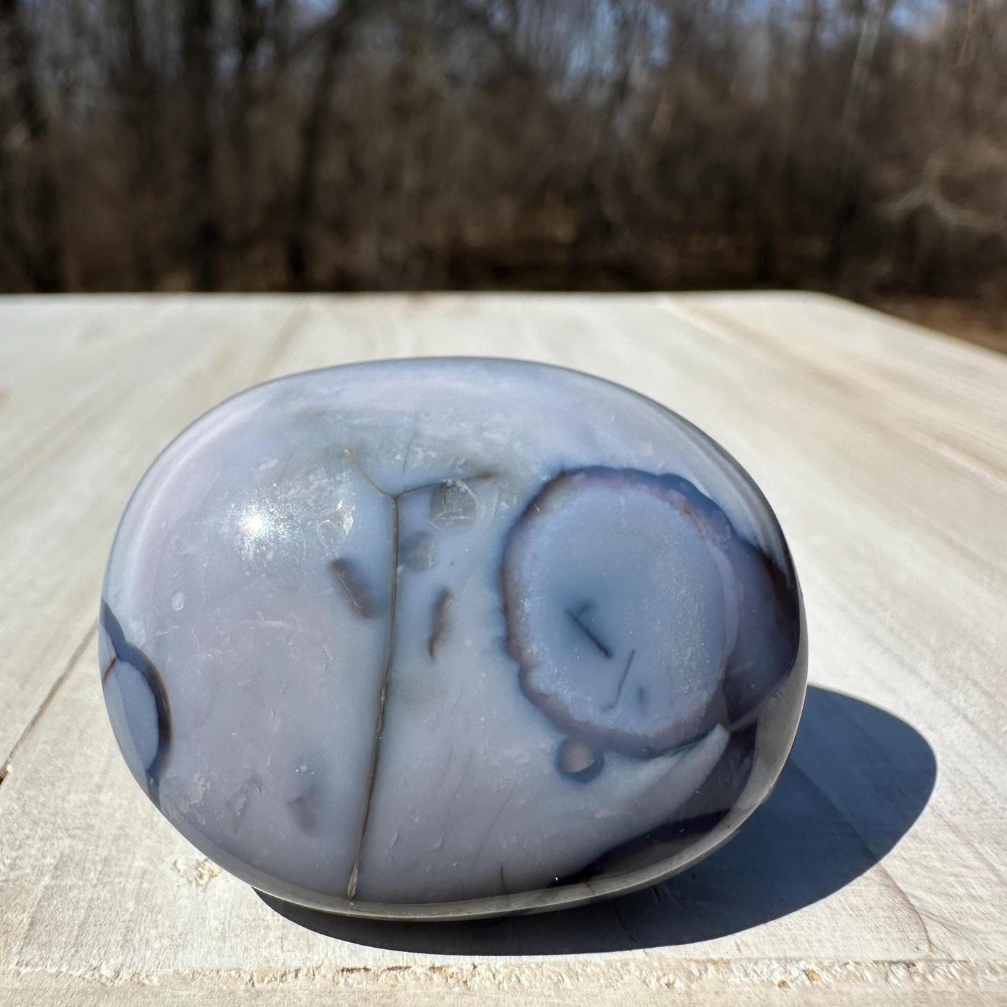 Gorgeous Blue Flower Agate Palm Stone