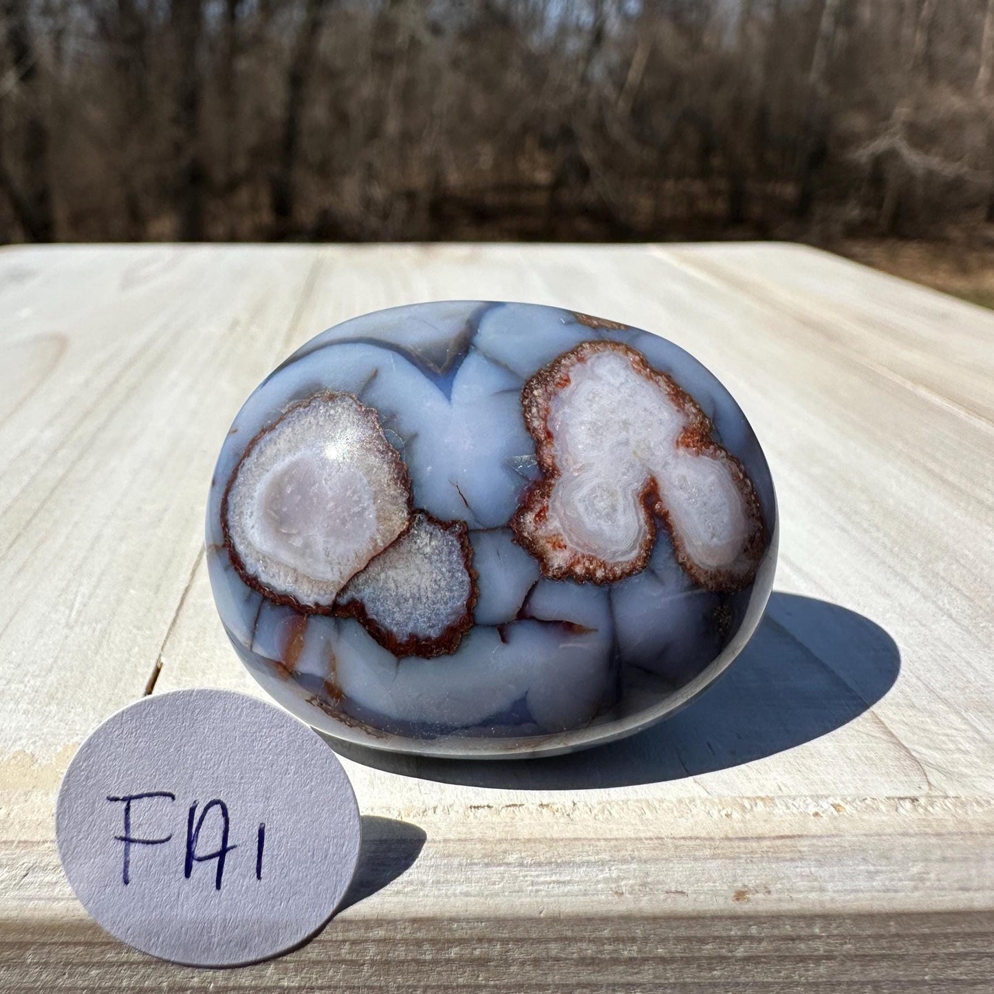 Gorgeous Blue Flower Agate Palm Stone