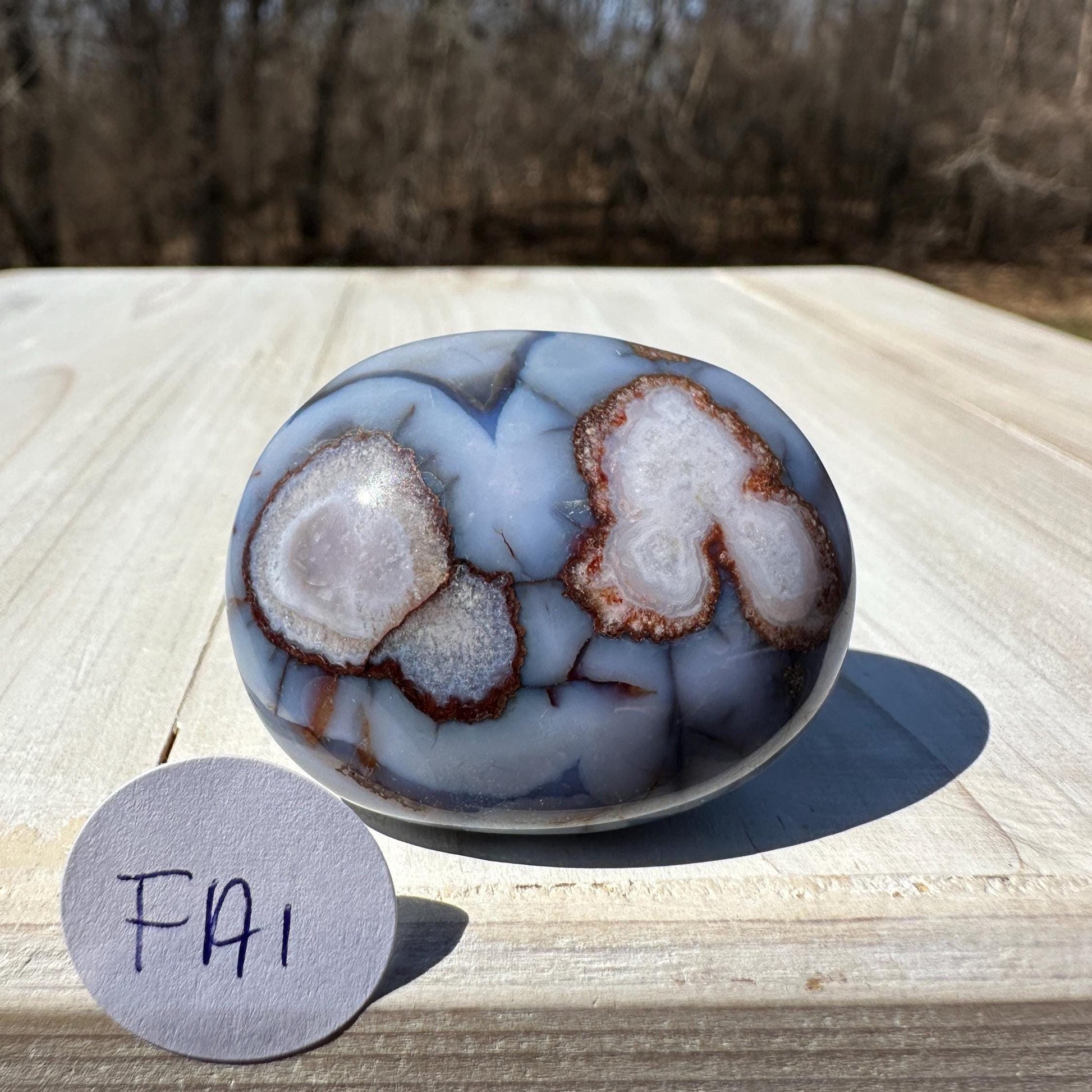 Gorgeous Blue Flower Agate Palm Stone