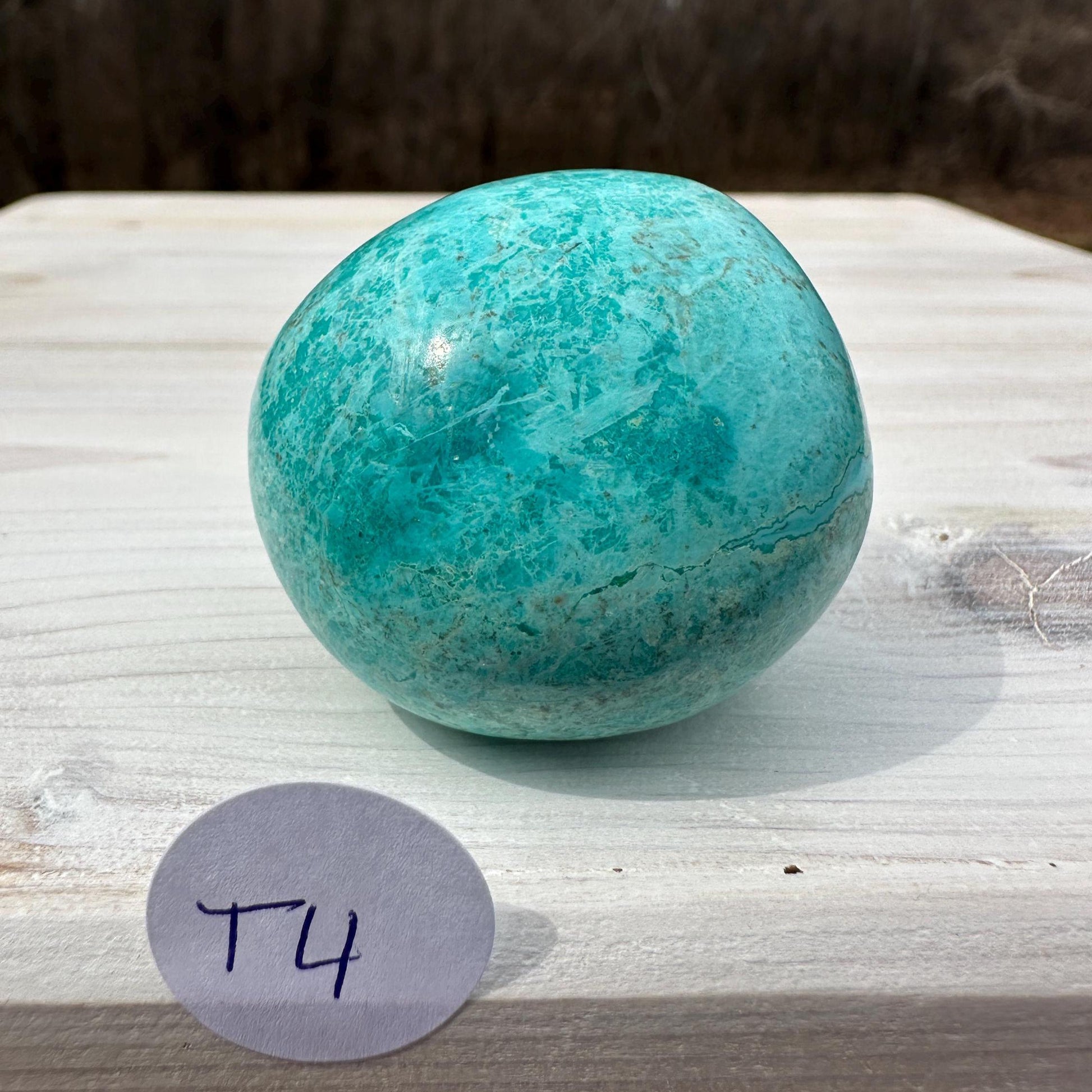 Beautiful Turquoise Palm Stones from Peru