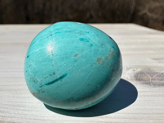 Beautiful Turquoise Palm Stones from Peru