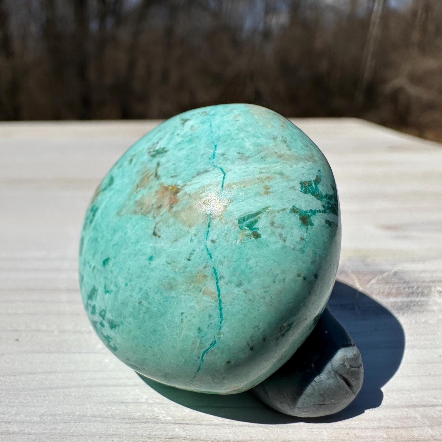 Beautiful Turquoise Palm Stones from Peru