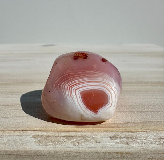 XL Apricot Agate Tumbled Stone