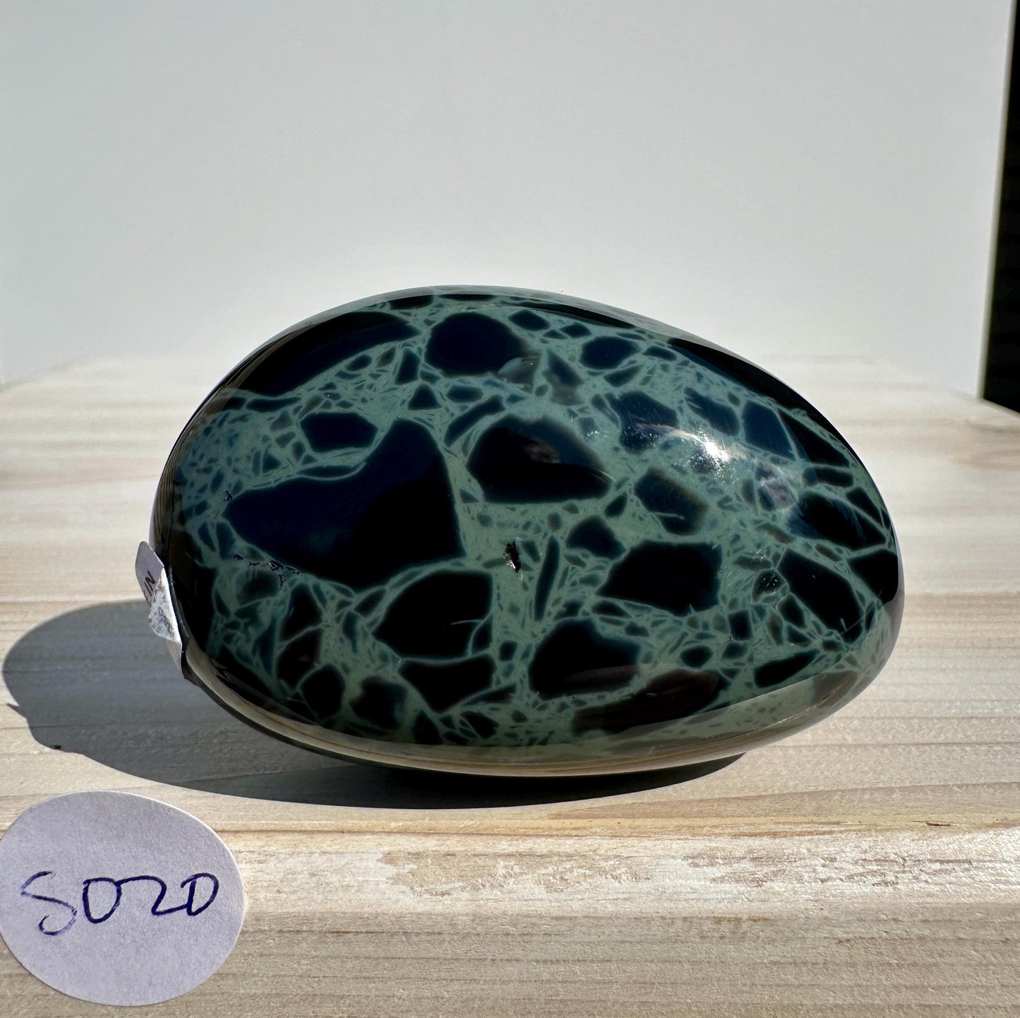 Spider Web Obsidian Palm Stone from Mexico