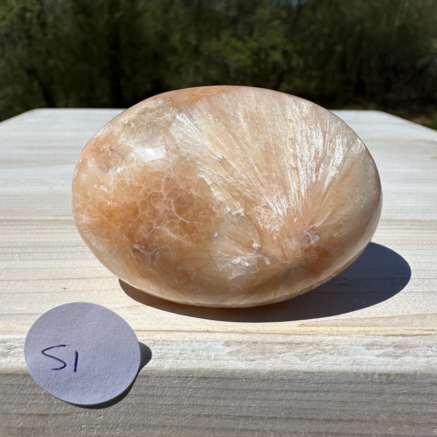 Gorgeous Polished Scolecite with Stilbite Palm Stone - #1