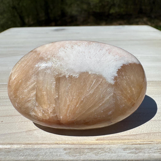 Gorgeous Polished Scolecite with Stilbite Palm Stone - #4