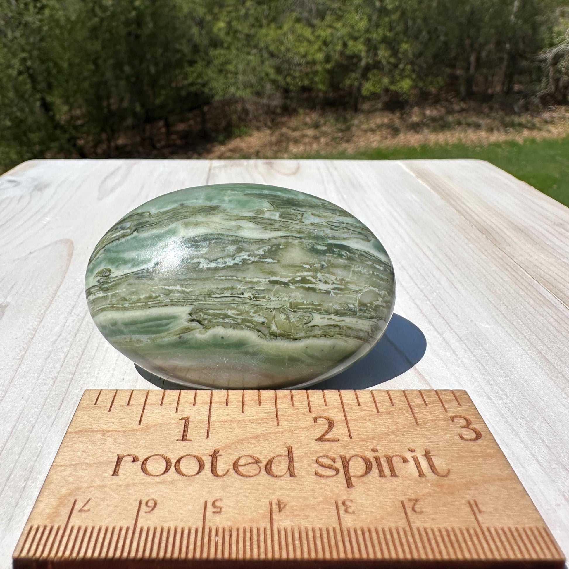 Polished Banded Serpentine Palm Stone | Infinite Stone Palm Stone - #1