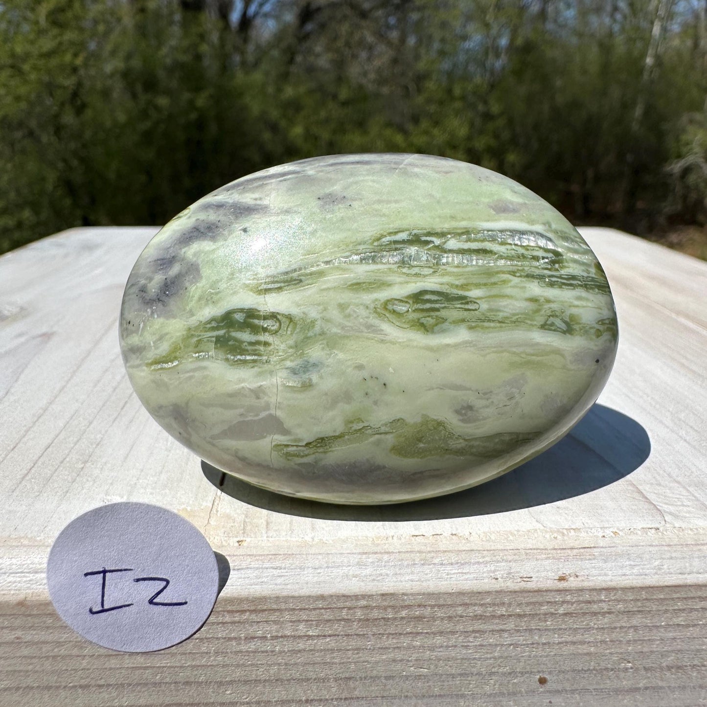Polished Banded Serpentine Palm Stone | Infinite Stone Palm Stone - #2