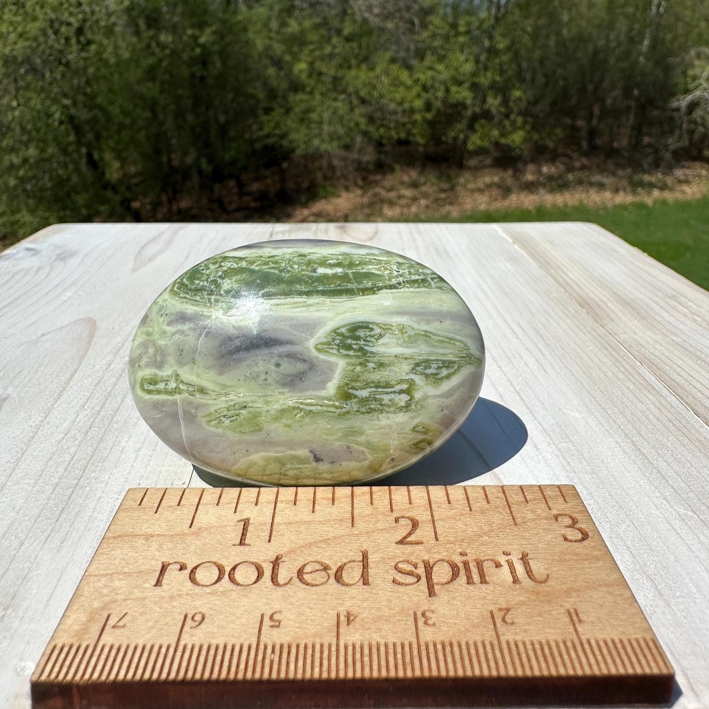 Polished Banded Serpentine Palm Stone | Infinite Stone Palm Stone - #2