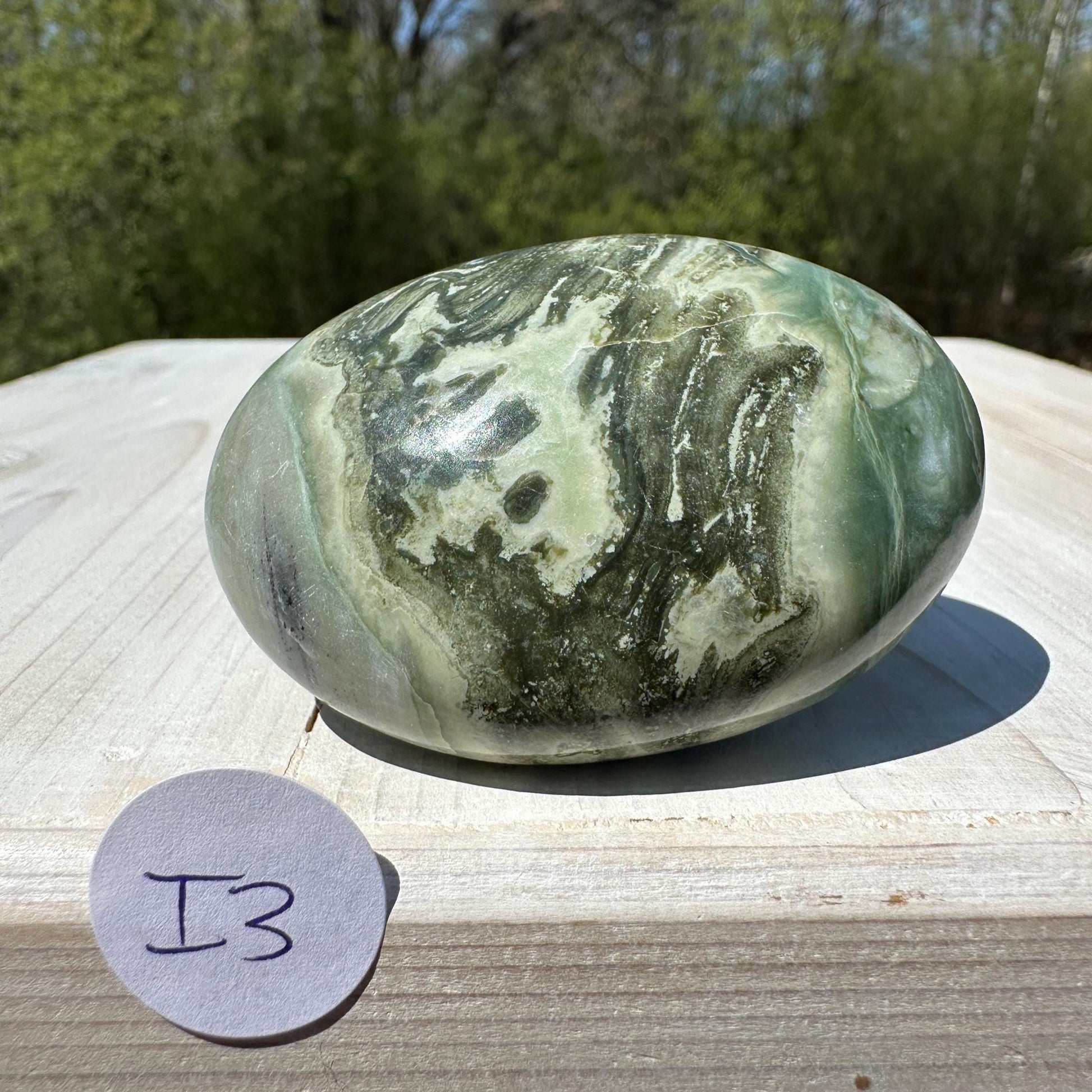 Polished Banded Serpentine Palm Stone | Infinite Stone Palm Stone - #3
