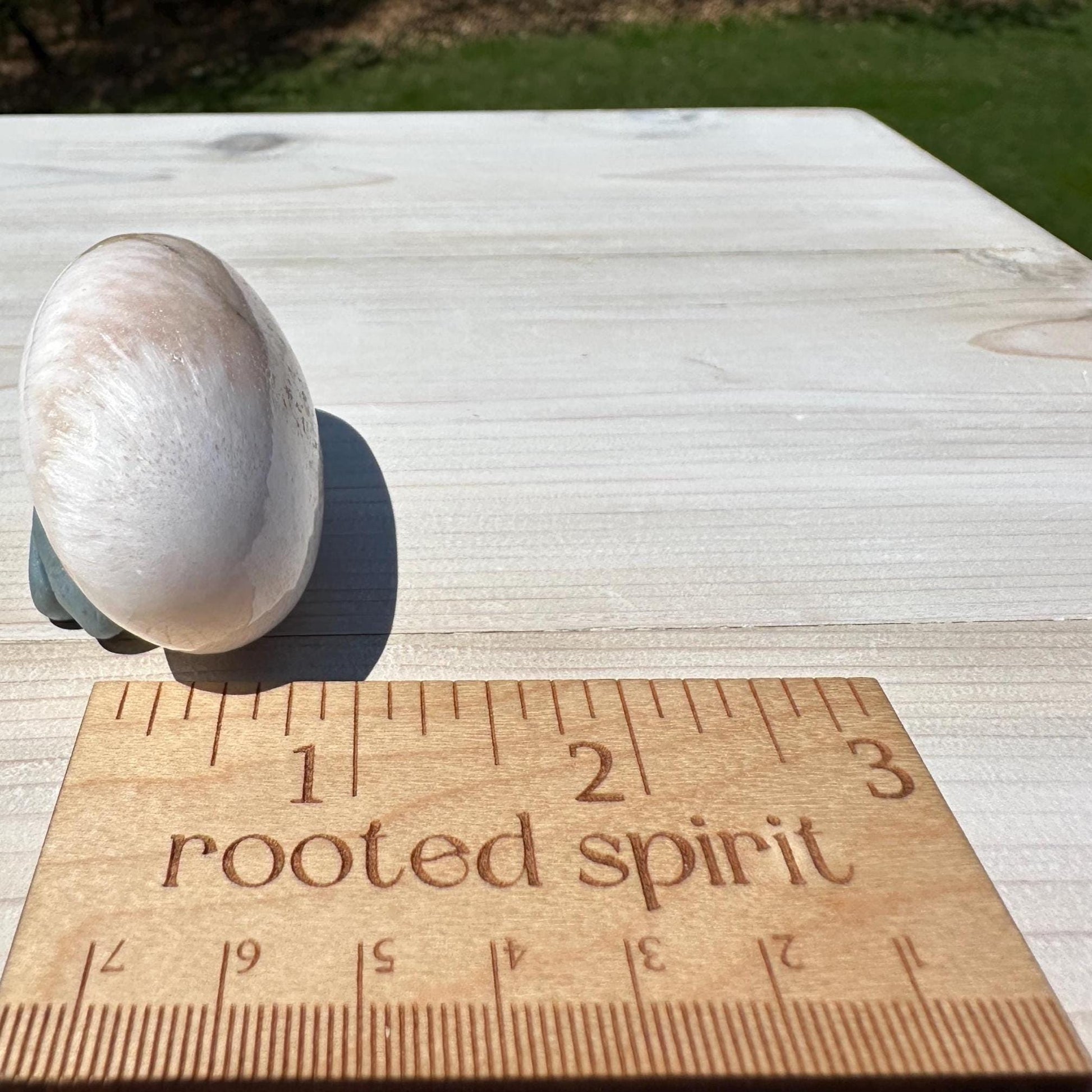 Gorgeous Polished Scolecite with Stilbite Palm Stone - #3