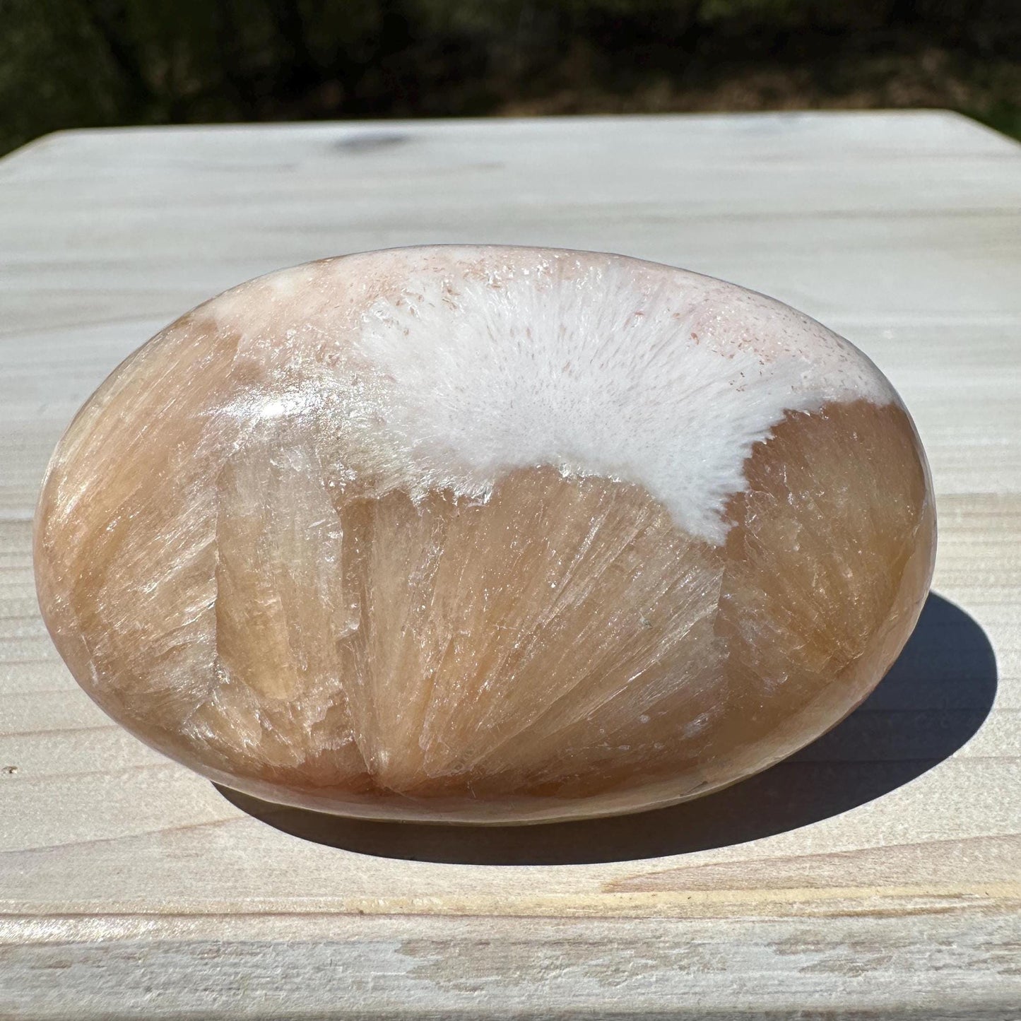 Gorgeous Polished Scolecite with Stilbite Palm Stone - #4
