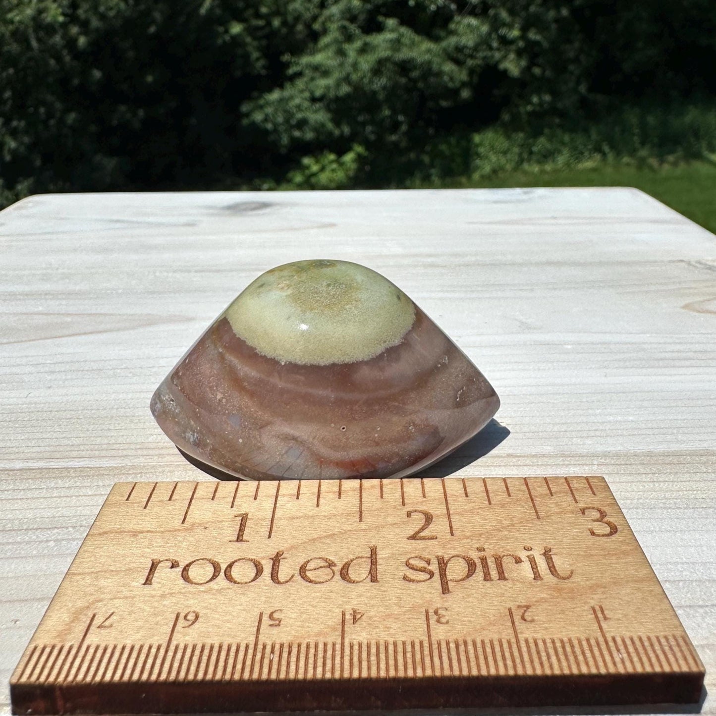 Large Shiva Agate Eye from India | Eye Of Shiva Crystals | Third Eye Agate Crystals | Gems & Minerals | Crystal Collector Home Decor - #3