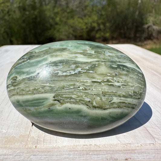 Polished Banded Serpentine Palm Stone | Infinite Stone Palm Stone - #1