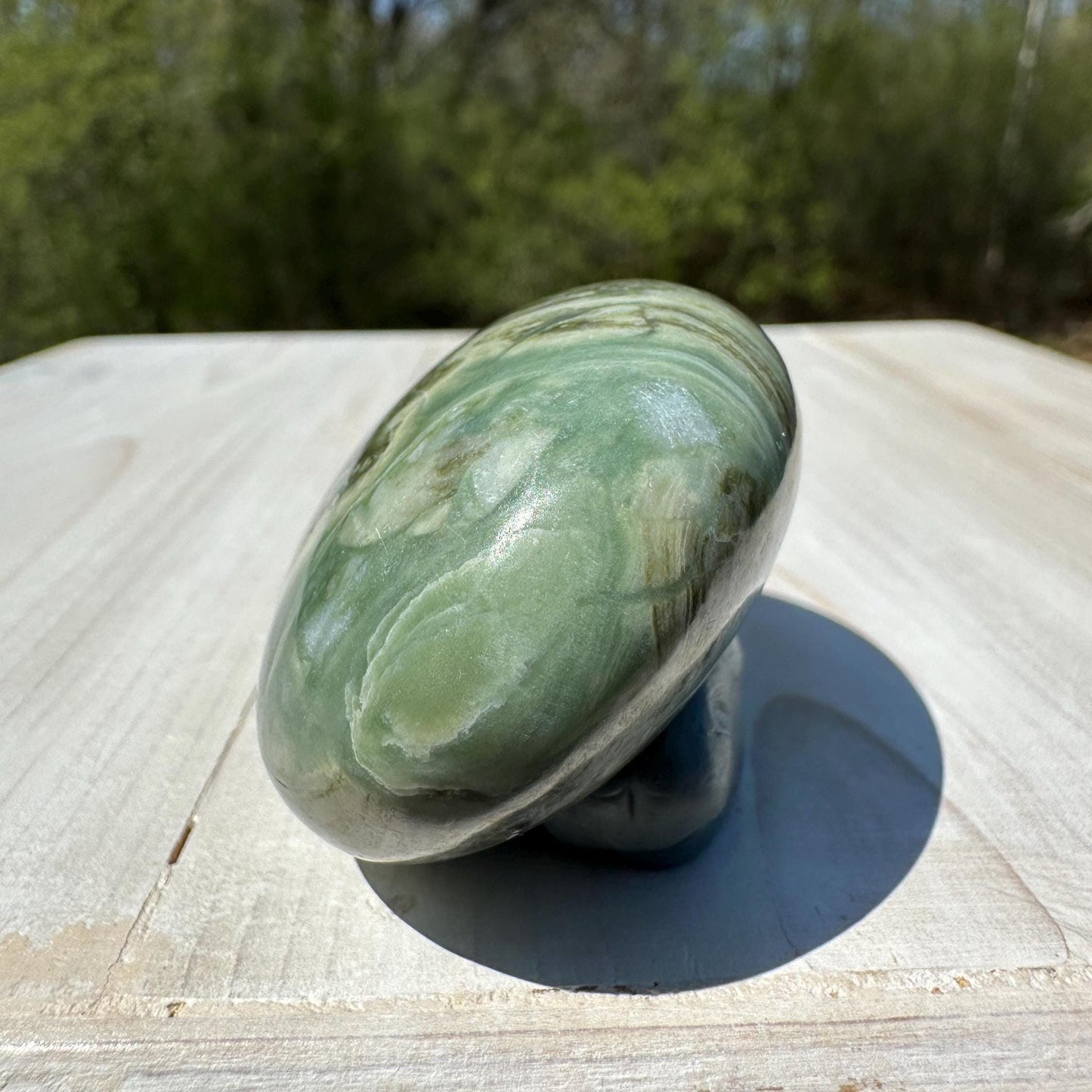 Polished Banded Serpentine Palm Stone | Infinite Stone Palm Stone - #3