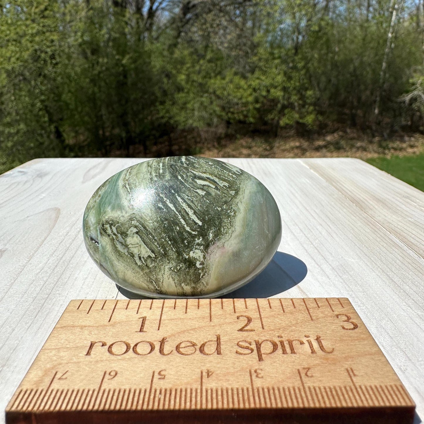 Polished Banded Serpentine Palm Stone | Infinite Stone Palm Stone - #3