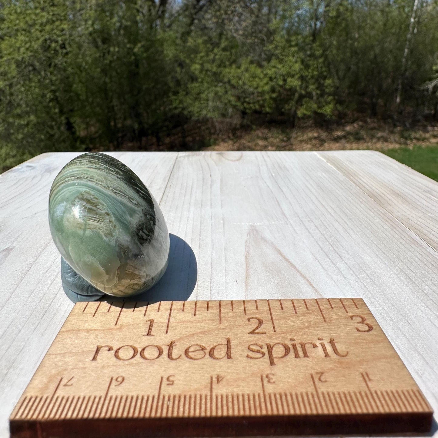 Polished Banded Serpentine Palm Stone | Infinite Stone Palm Stone - #3