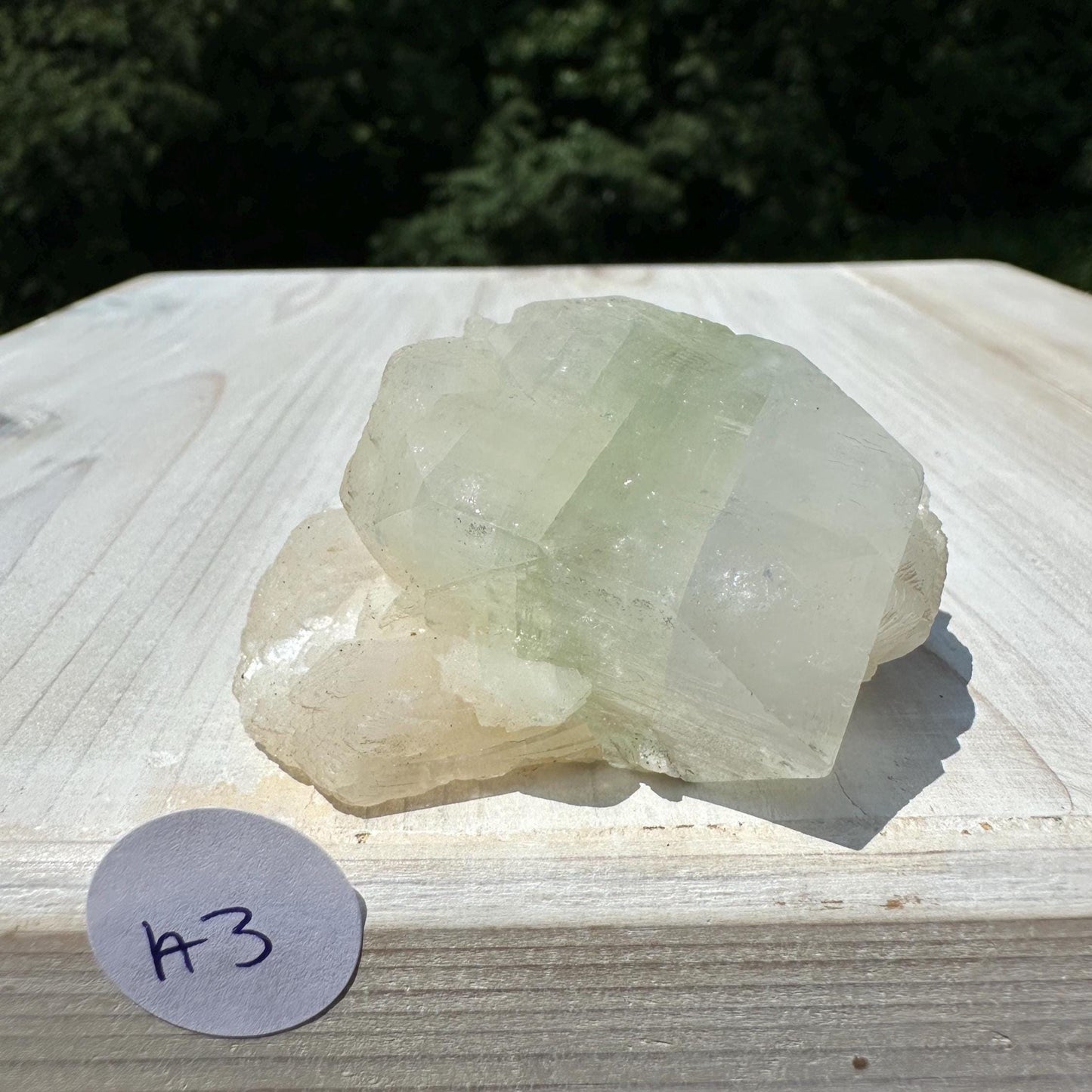 Pretty Apophyllite with Stilbite and Chalcedony Cluster