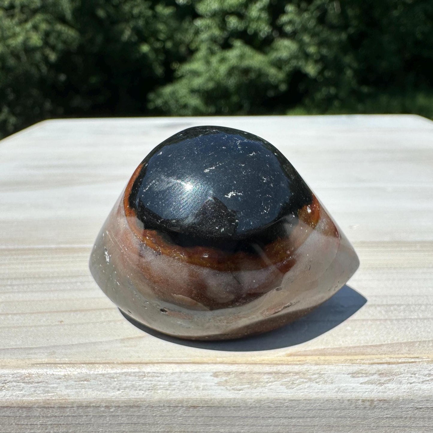 Medium Shiva Agate Eye from India | Eye Of Shiva Crystals | Third Eye Agate Crystals | Gems & Minerals | Crystal Collector Home Decor - #7