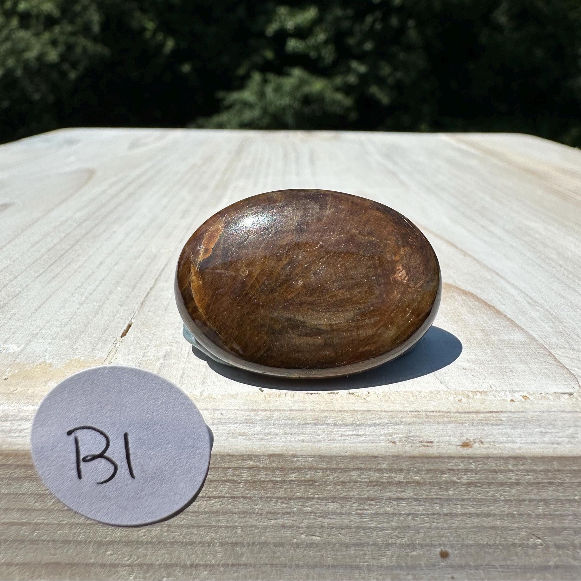 Bronze Sapphire Mini Polished Palm Stone - #1
