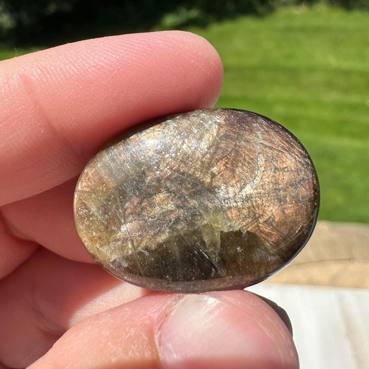 Bronze Sapphire Mini Polished Palm Stone - #2
