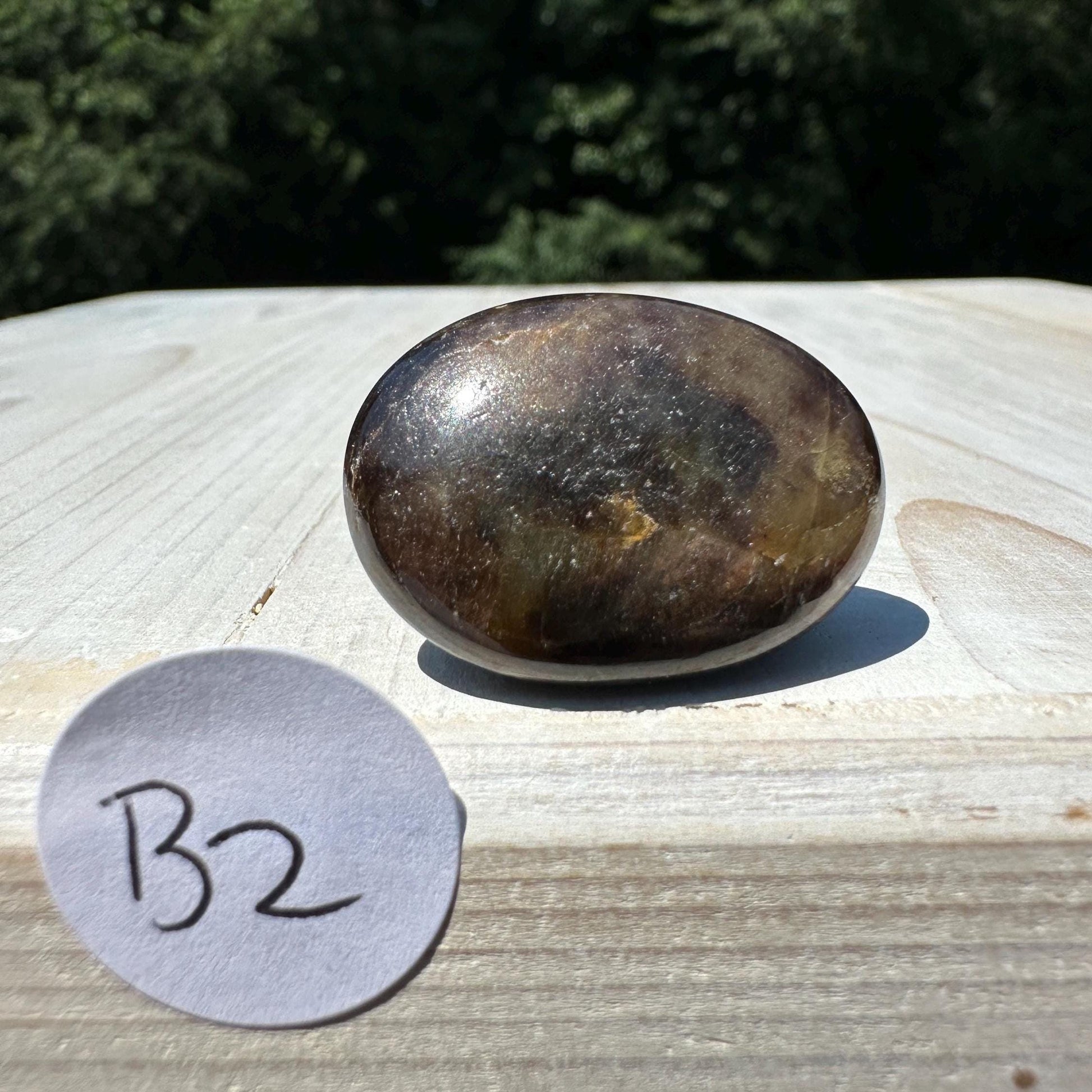 Bronze Sapphire Mini Polished Palm Stone - #2