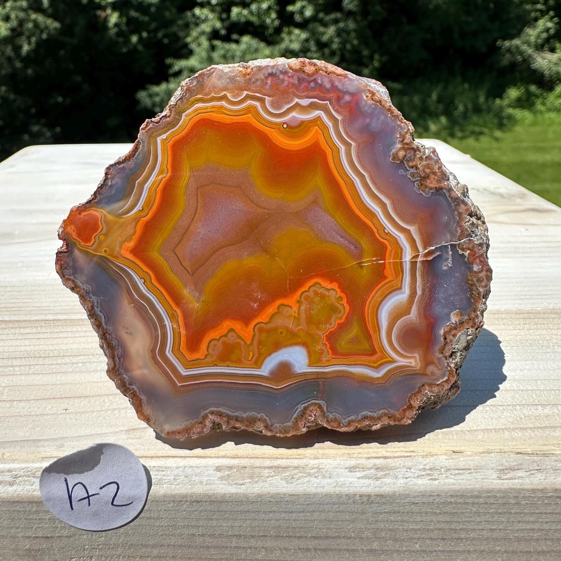 Stunning Moroccan Agate Geode Specimen
