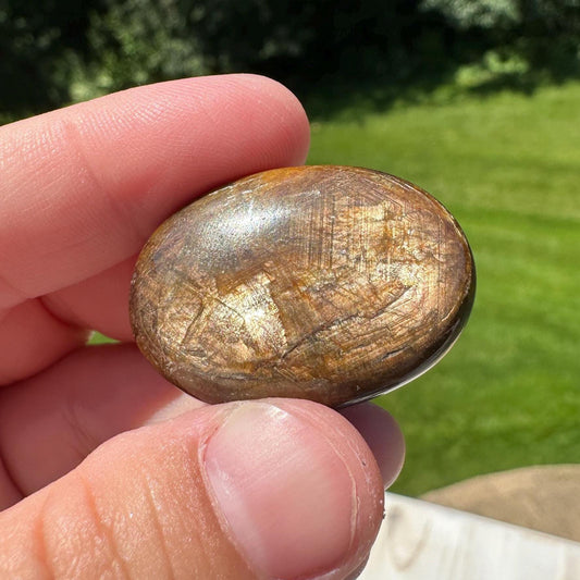 Bronze Sapphire Mini Polished Palm Stone - #1