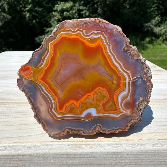 Stunning Moroccan Agate Geode Specimen