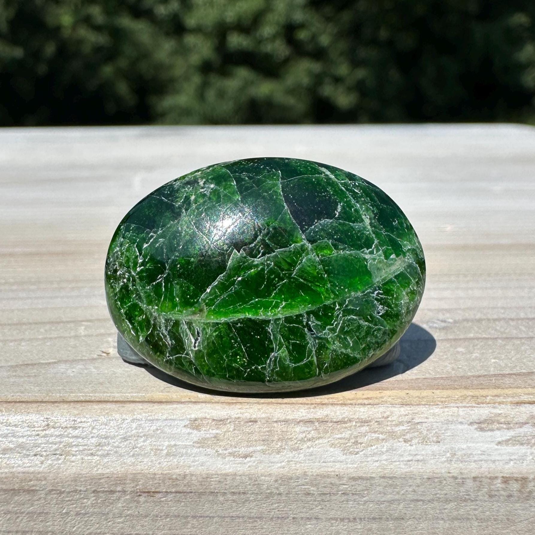 Stunning Chrome Diopside Mini Palm Stone - #1