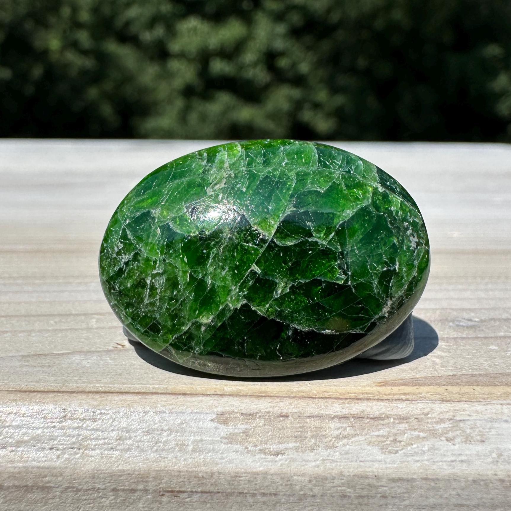 Stunning Chrome Diopside Mini Palm Stone - #1